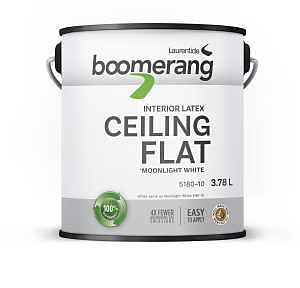 Boomerang 5180-10 Ceiling Flat Paint, Matte, Moonlight White, 3.78 L, 1910900