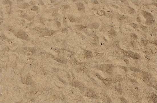 Mortar/Playground Sand 1/2 yard