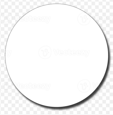 White Spray Paint - Gloss 296 ml (10oz)