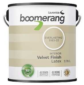 Boomerang 5183 Series 5183-22L19 Interior Paint, Velvet, Everlasting, 3.78 L, 40 sq-m Coverage Area