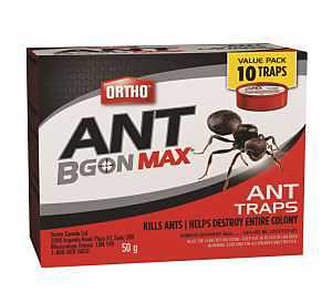 Ortho 189810 Ant Trap, 10 pk