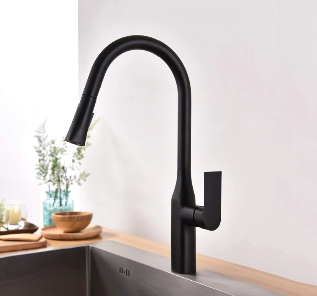 Kodaen Timelyss Kitchen Faucet F23134MB