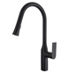 Kodaen Timelyss Kitchen Faucet F23134MB