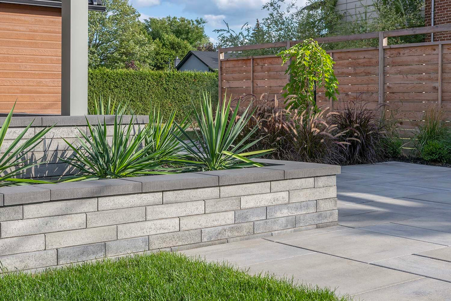 Rinox Solino Ash Charcoal Wall