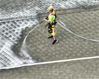 Roof Rejuvenation Spray