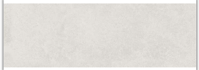 Daltile Rhetoric Aristotle White Matte 8x24