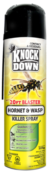 Hornet & Wasp Blaster Aerosol 510g