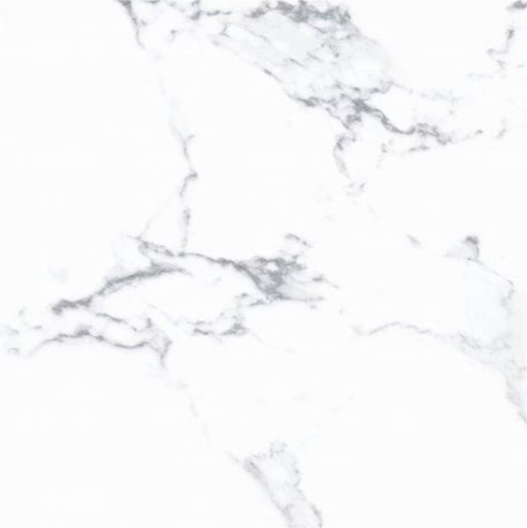 1867 Tile Statuario 24 x 24