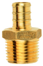 Pex Male Adpt. Barb to MPT 1/2" x 1/2"