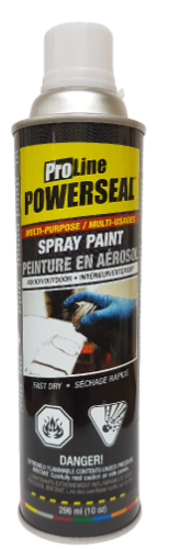 Black Spray Paint - Gloss 296 ml (10oz)