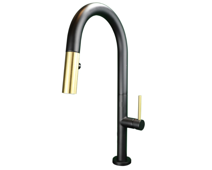 Kodaen Elegante Kitchen Faucet F23304MBG