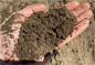 Top Soil 1/2 Yard