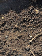 Fill Soil (per yard)